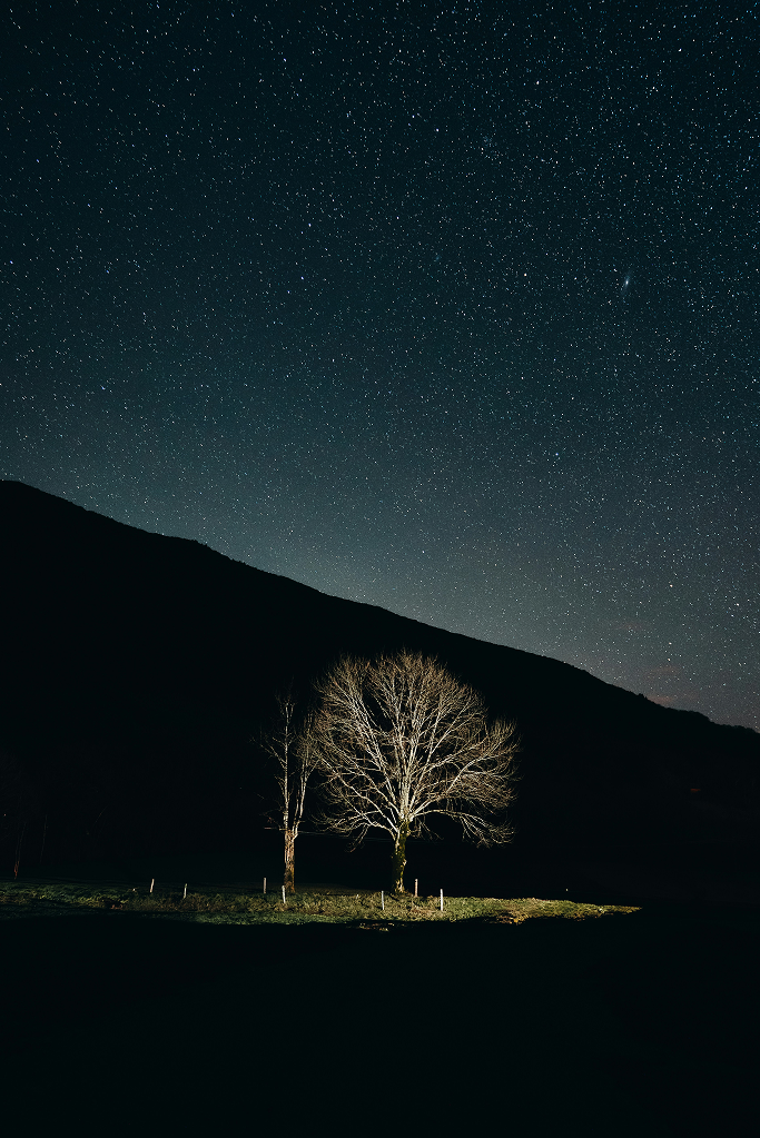 Starry night landscape with a tree